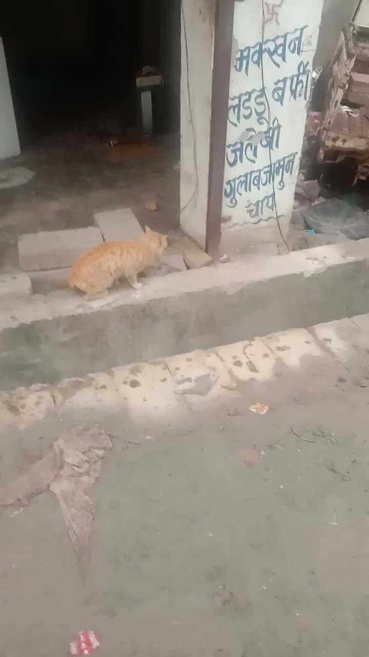@Abhishek Singh Tomer
