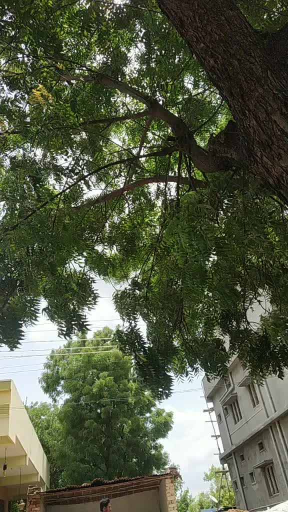 @pavanbalu