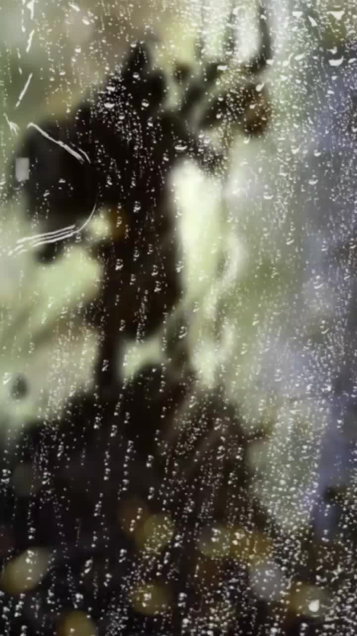 @Kukku Kumar