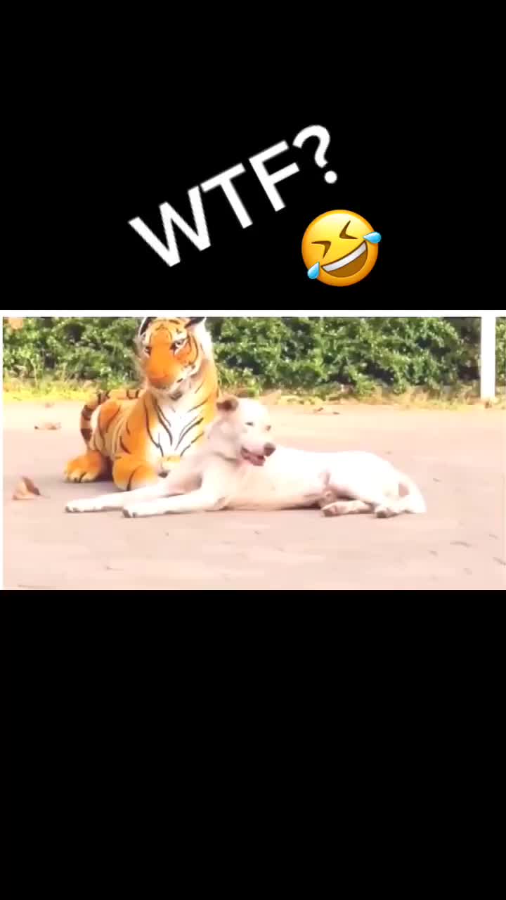 @uijh04