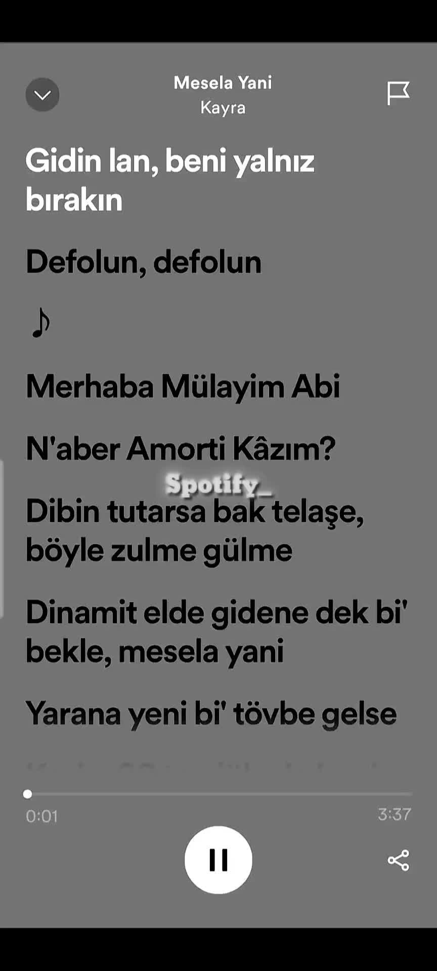 @Spotify_