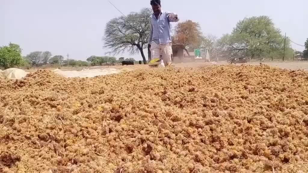 @Bharat Singh