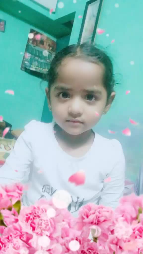 @vivek77