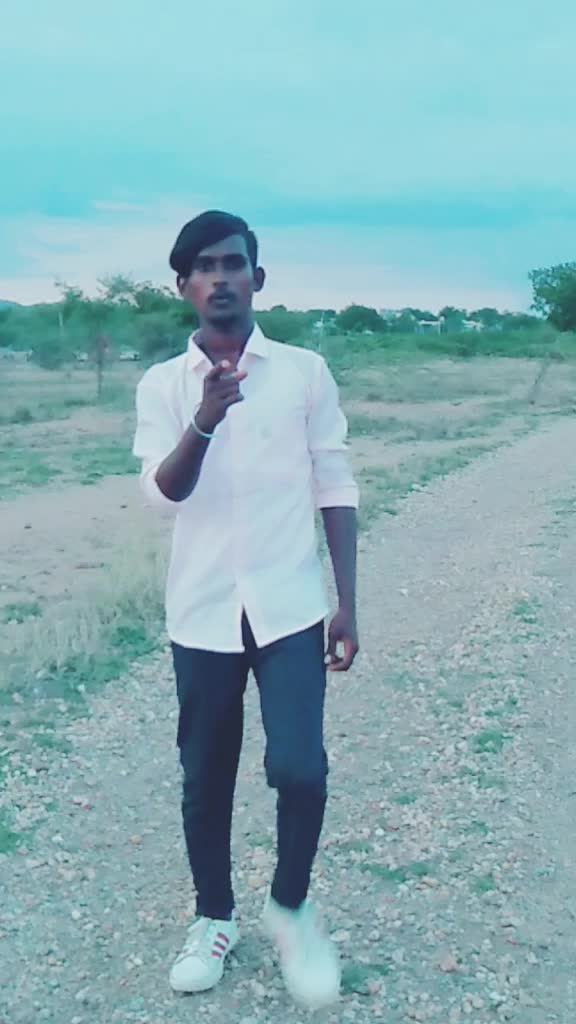 @bollepoguirmiya831