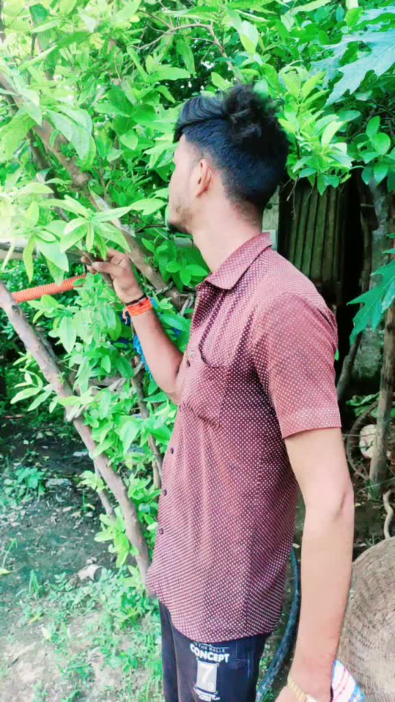 @ShivSharma4779
