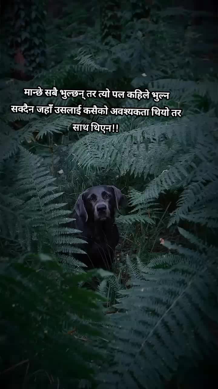 @तिम्रो काली म🦋🦋