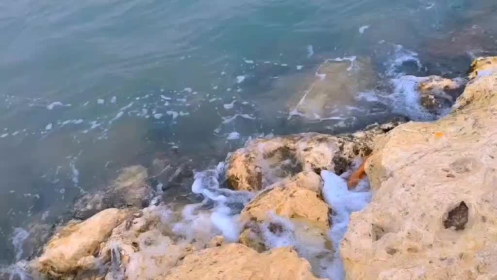 @Ahmad.297