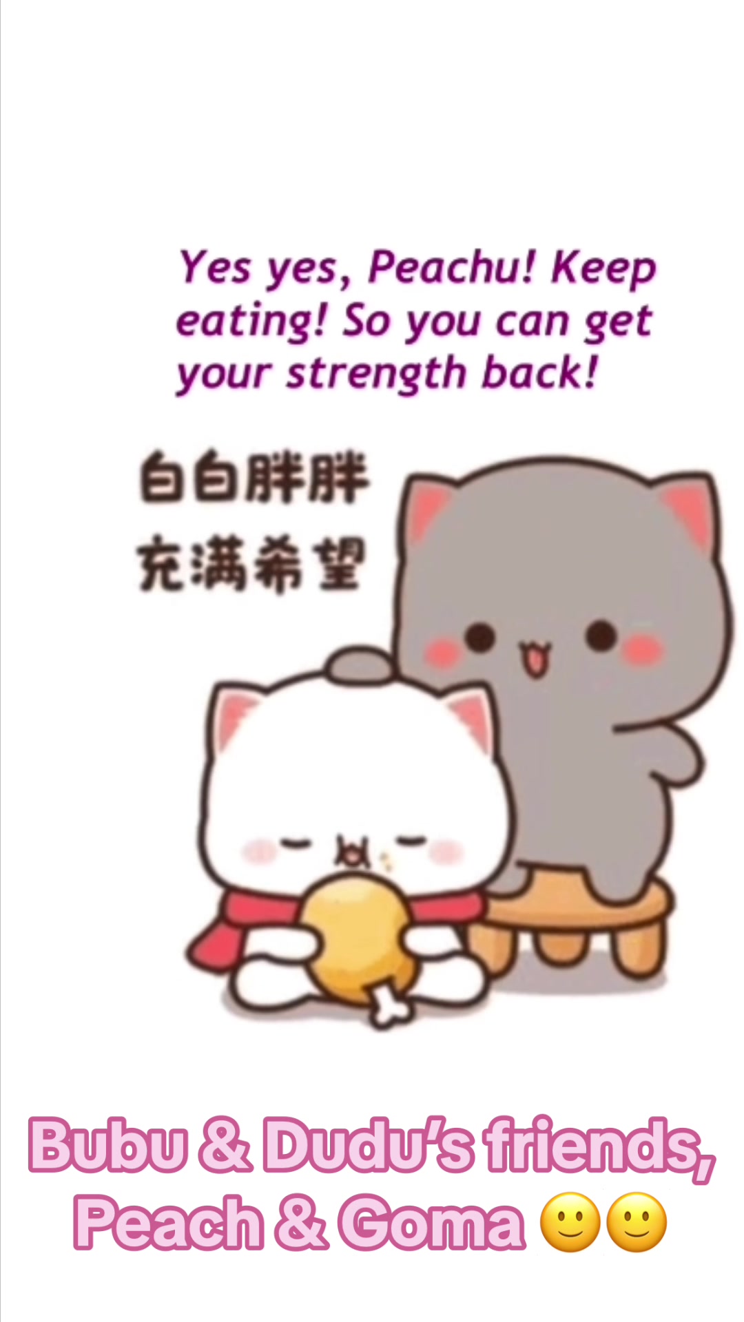 @Bubu and Dudu Family