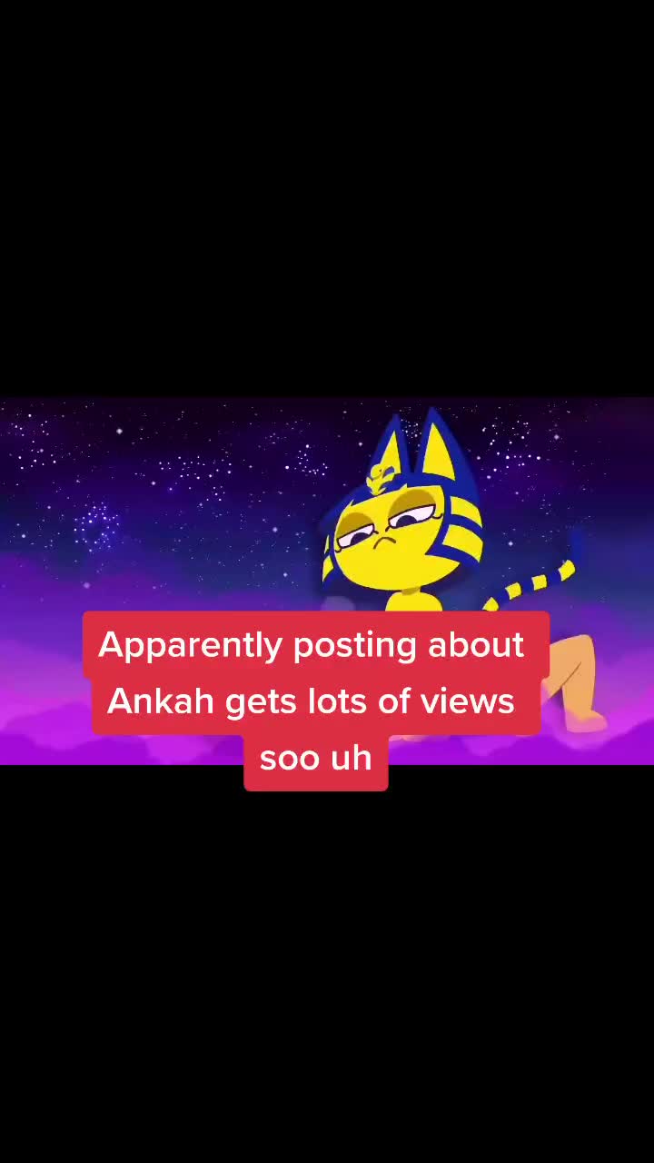 @Noah