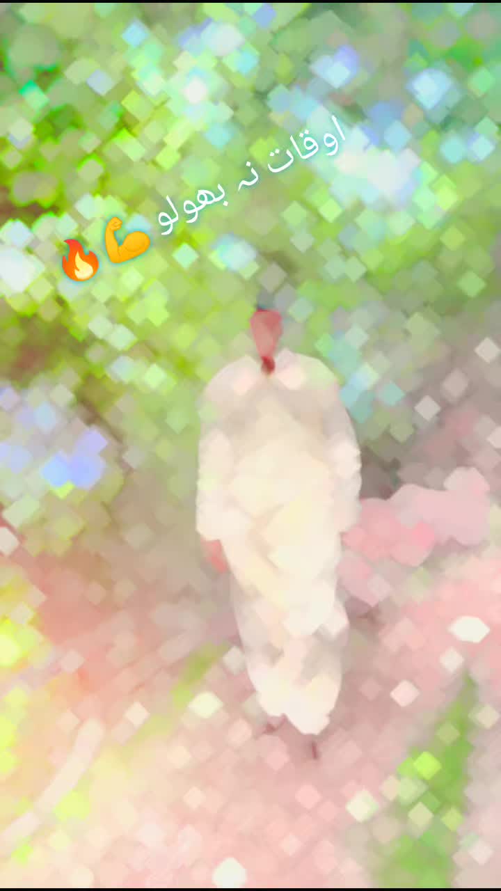 @عباسی 👑(مری آلہ) 👑