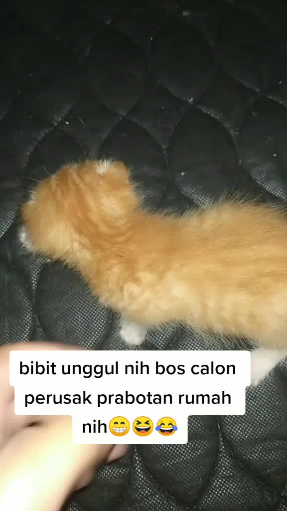 @beby all