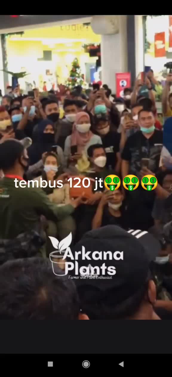 @Kuntum_Bunga