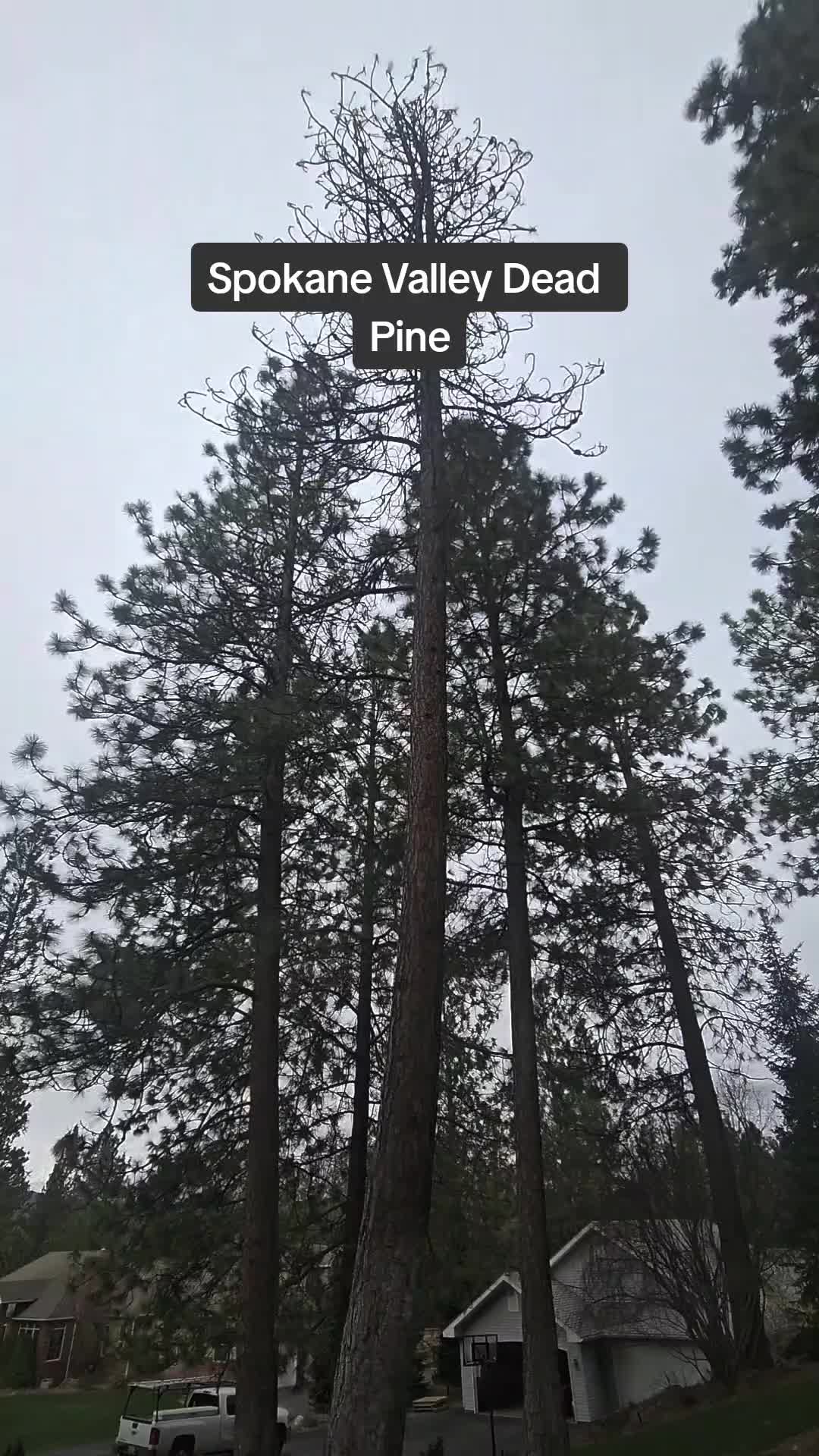 @brianarvish319