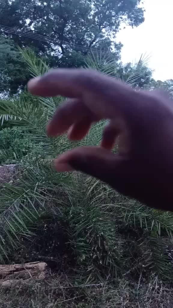 @saravanan saravedi