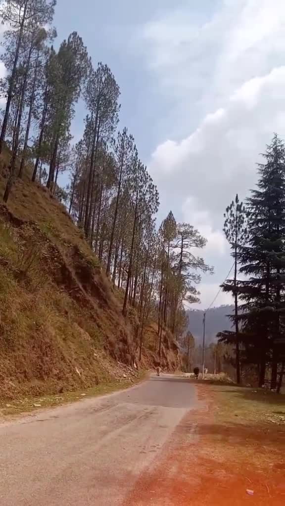 @❤️Pahadi Noni..❤️