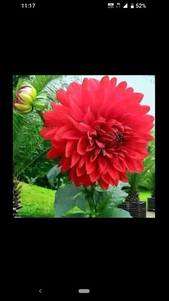 @Sushil Rajak Rajak
