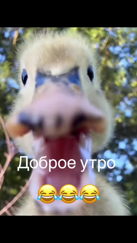 @Georgiy07