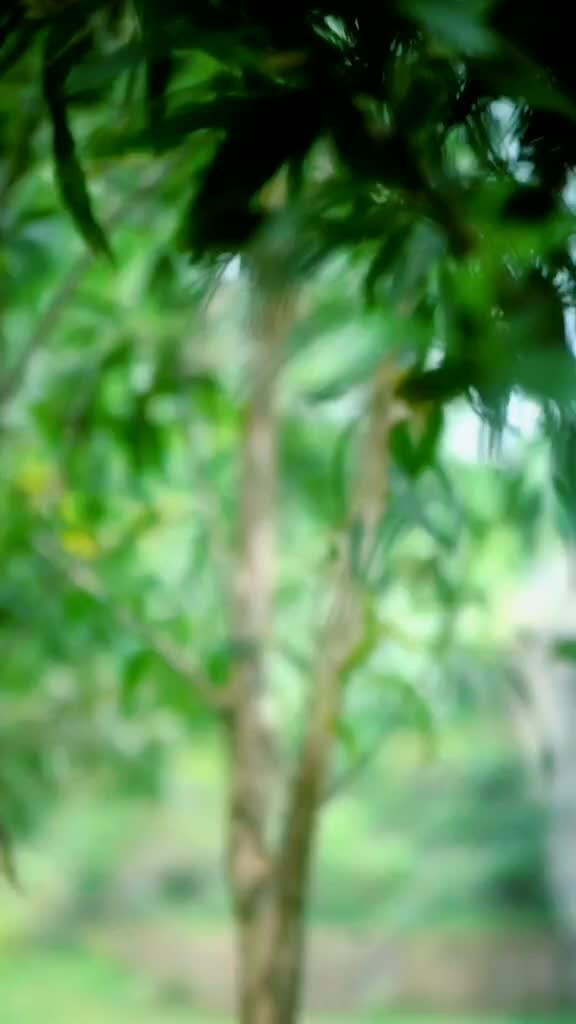 @Swadhin Kumar Patra