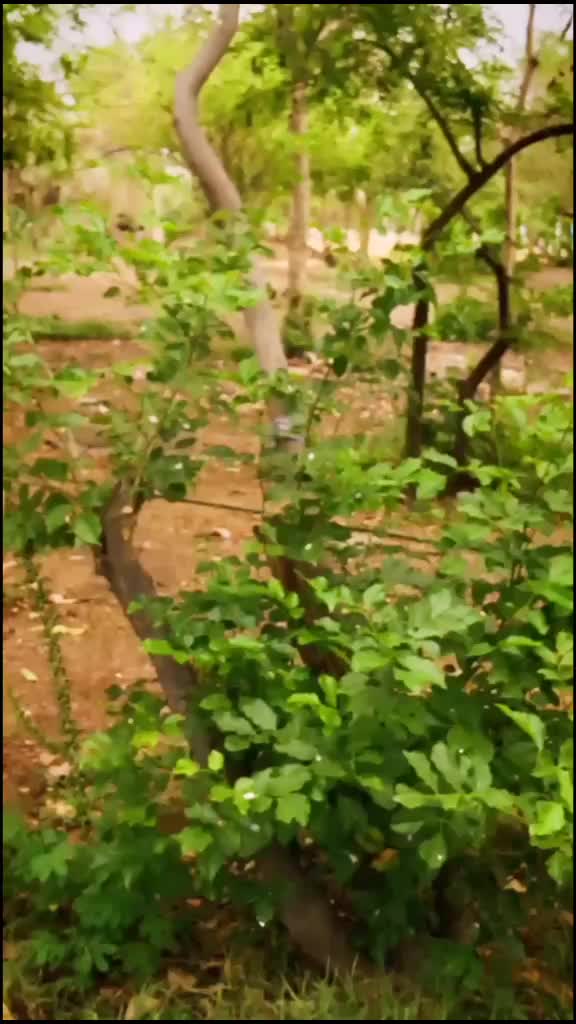 @Dhanush Vr