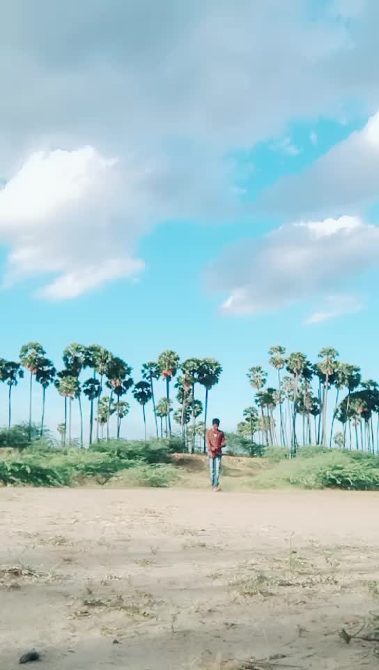 @VR. டங்கி