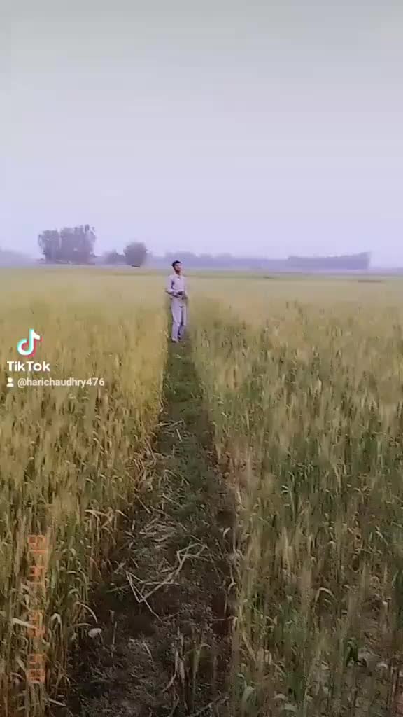 @hari chaudhary