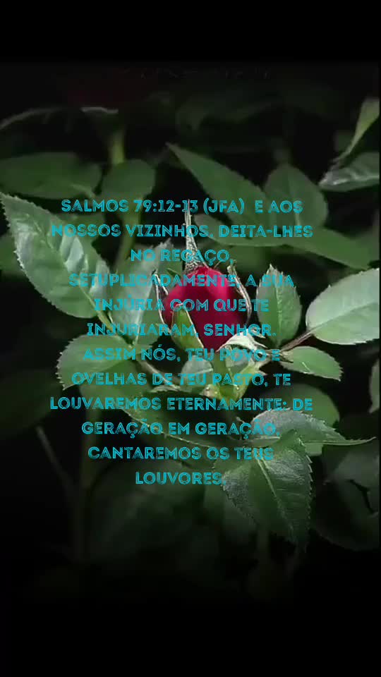 @👑@Justiça 💎🦅🌻