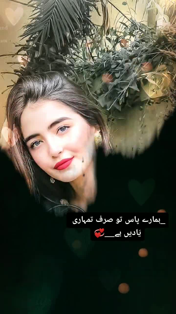 @Syed Aafiya