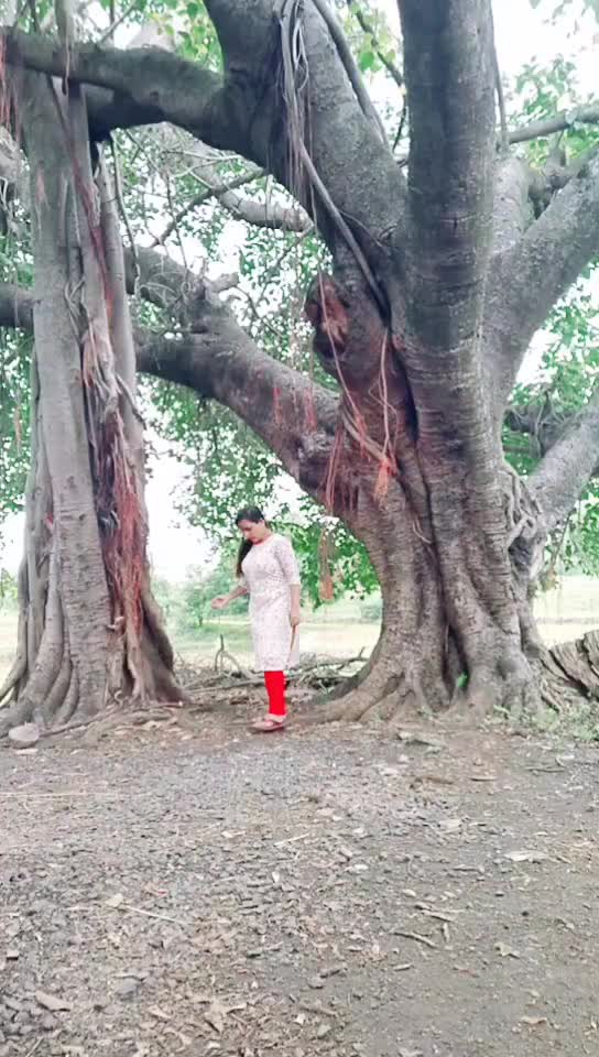 @sakpal0529