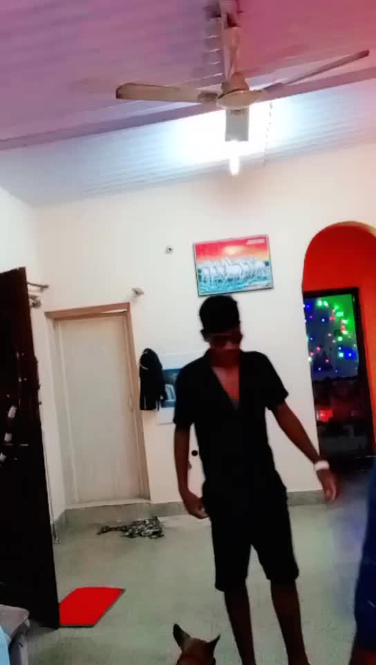 @😺cat_👑Krishna