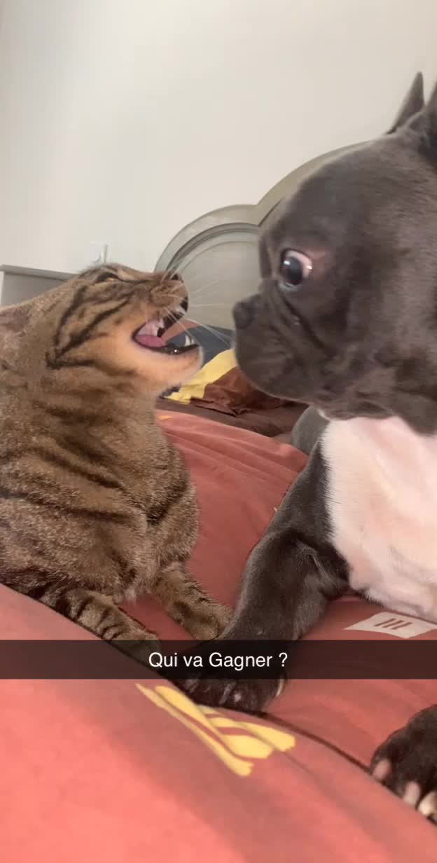 @𝕆𝕣𝕖𝕠
