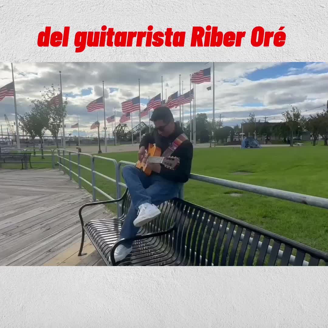 @Guitarras Andina