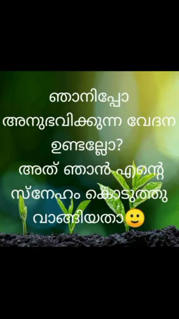 @kochuuzzzz