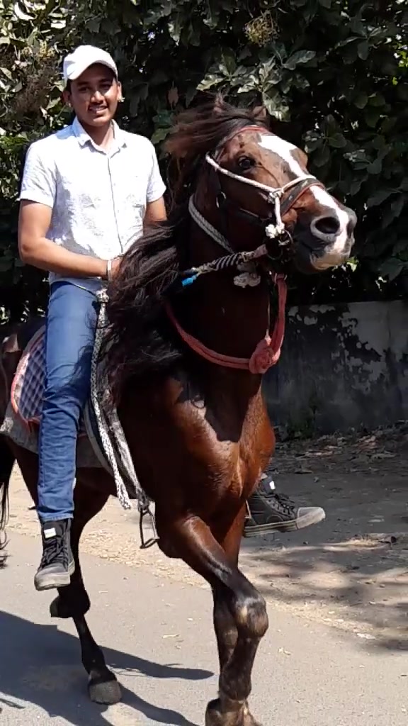 @Pranav_mesvaniya