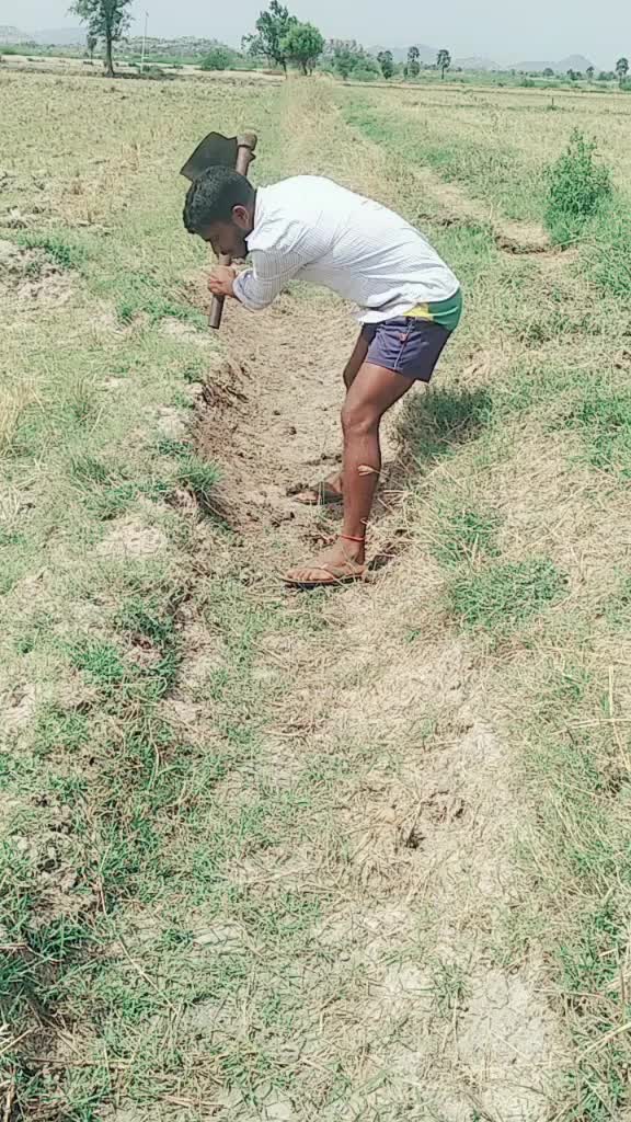 @TaLaRi Nagaraju