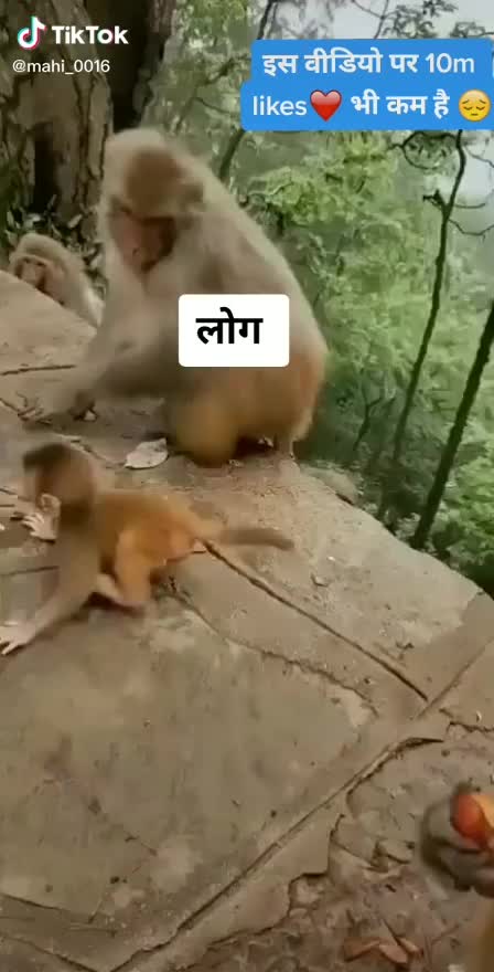 @kanhaiya bhatt