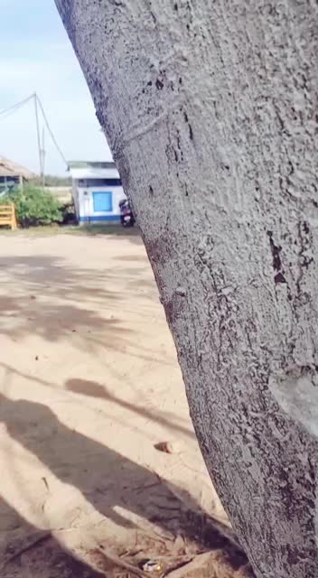 @anchumisaikia