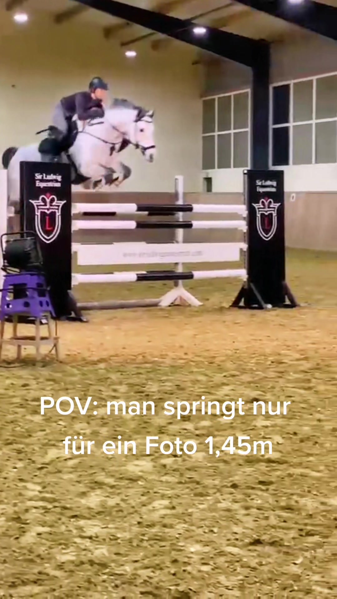 @Sir Ludwig Equestrian