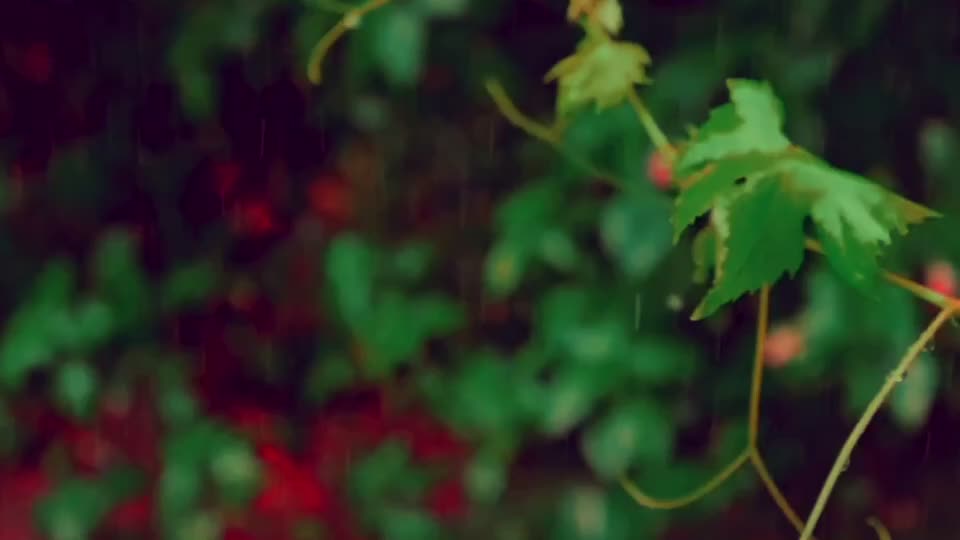 @Dj shashikant🎧
