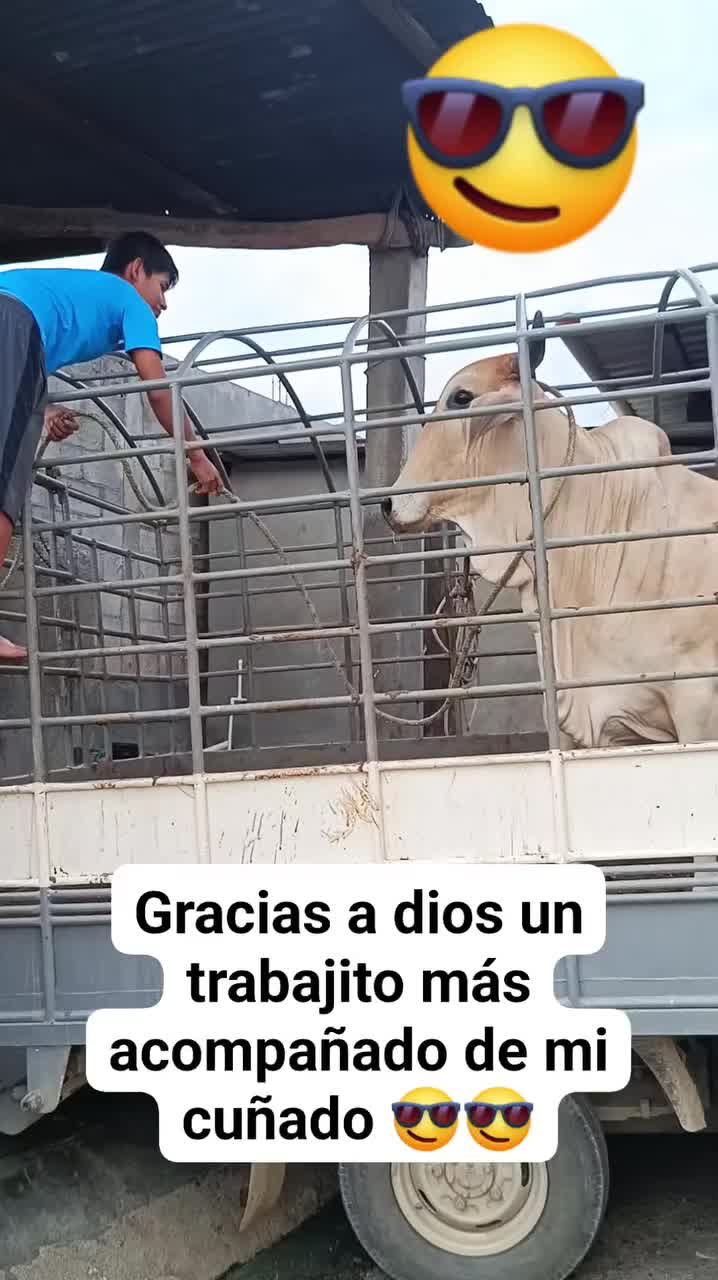 @incaparina_no.1