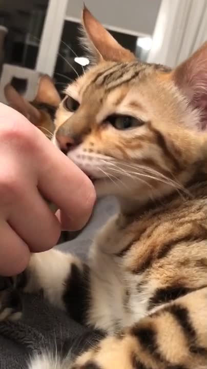 @Kinga und Ziva