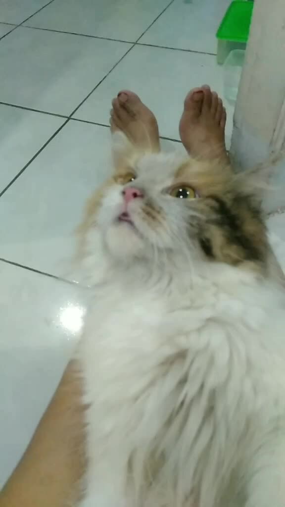 @Srititin Panjaitan (Titin)