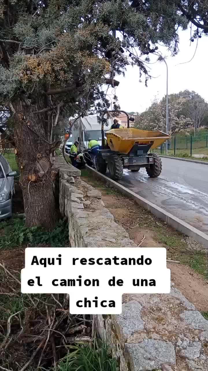 @Genoveva
