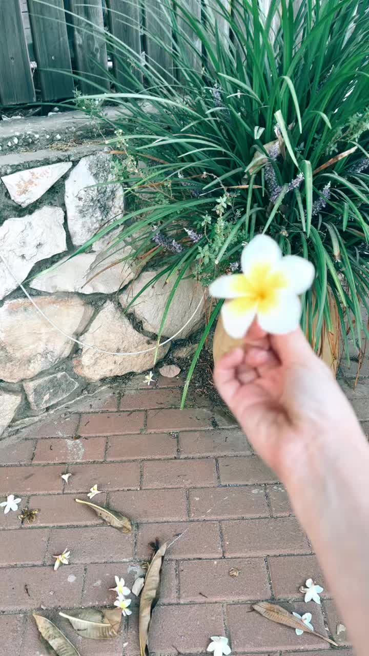 @זאת מאיה הקודם נחסם