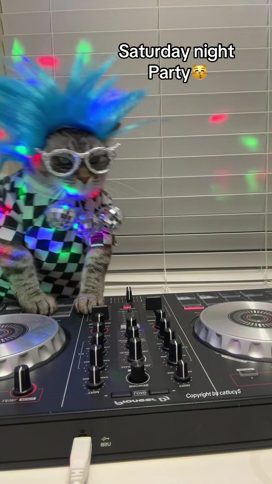 @Cat Lucy