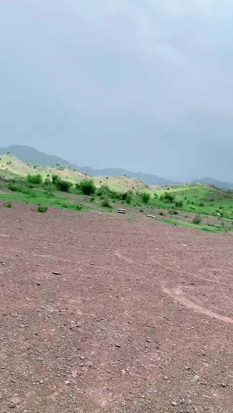 @MASOOM_VINES