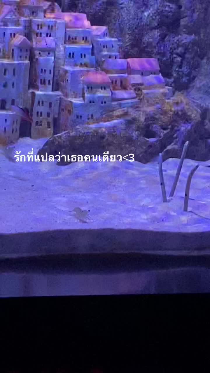 @ชอบกินไก่ทอด