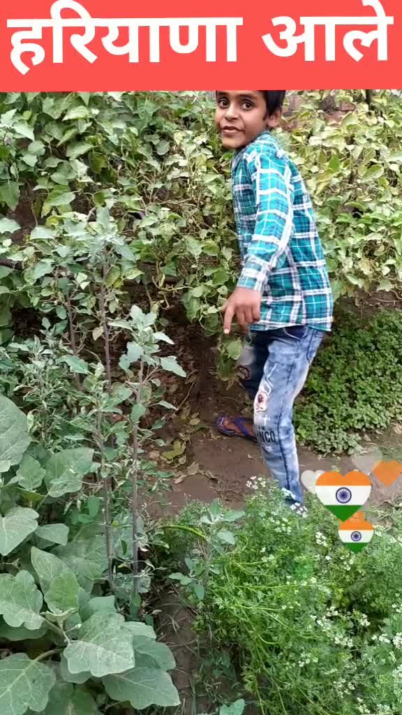 @शर्मा जी