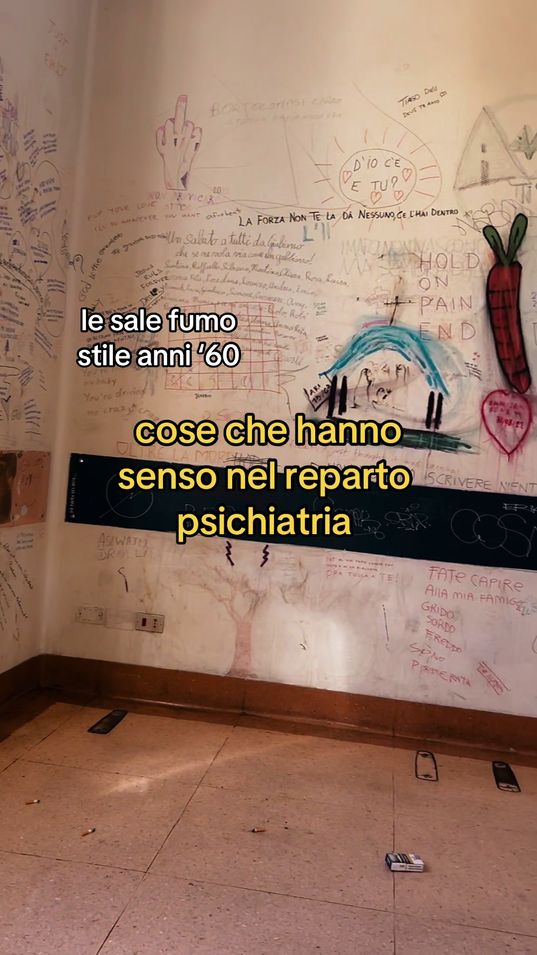 @🌙 Alice📚