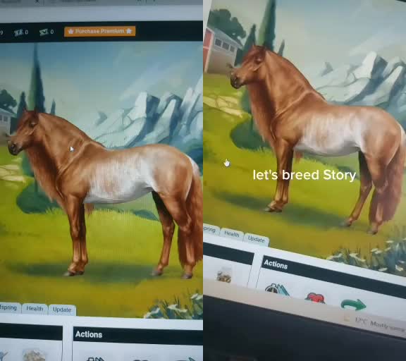@horse reality