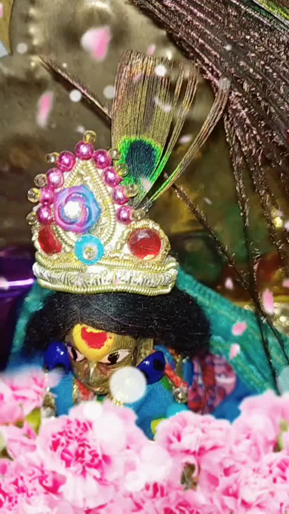 @Shipra Das